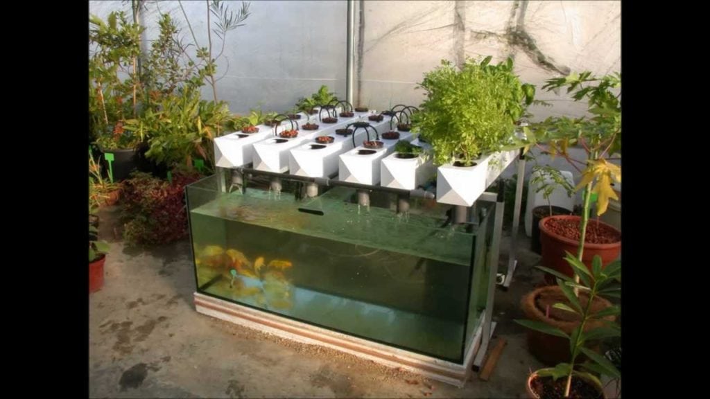 Aquaponics Garden Tiny House Decor