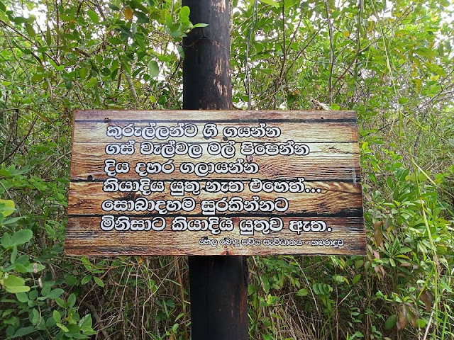 සිත් සුවපත් වන -  කොග්ගල තලාතුඩුව ආරණ්‍ය සේනාසනය (Koggala Thalathuduwa) 2 ගමන - Your Choice Way