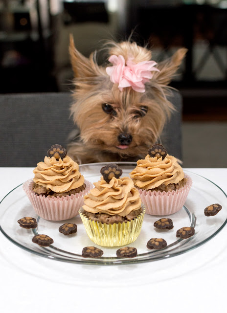 dog approved cupcake cake recipe birthday puppy doggie cat kitty food treat