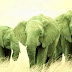 Ghost Elephants by Jean Valentine