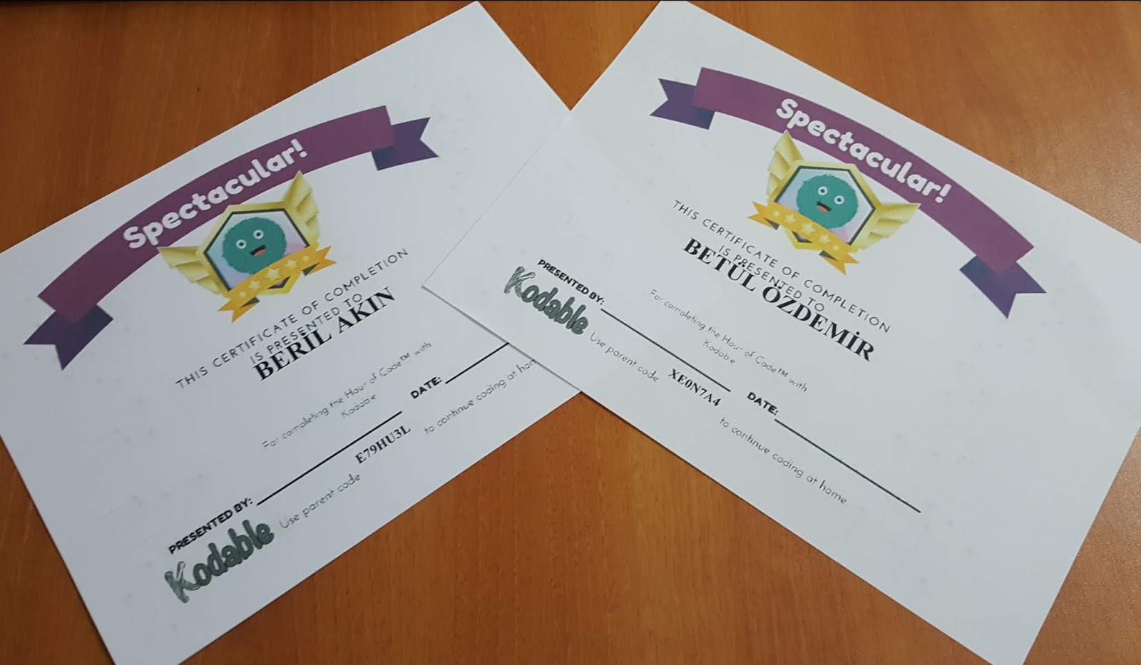 Printable Certificate Of Hour Code Printable Certificate Of Hour Code