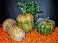 Calabazas del huerto.