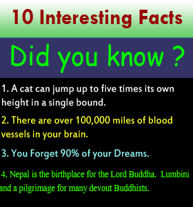 10 INTERESTING FACTS