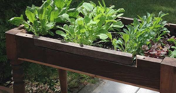How to Make a Lettuce Table from Cast Off Furniture