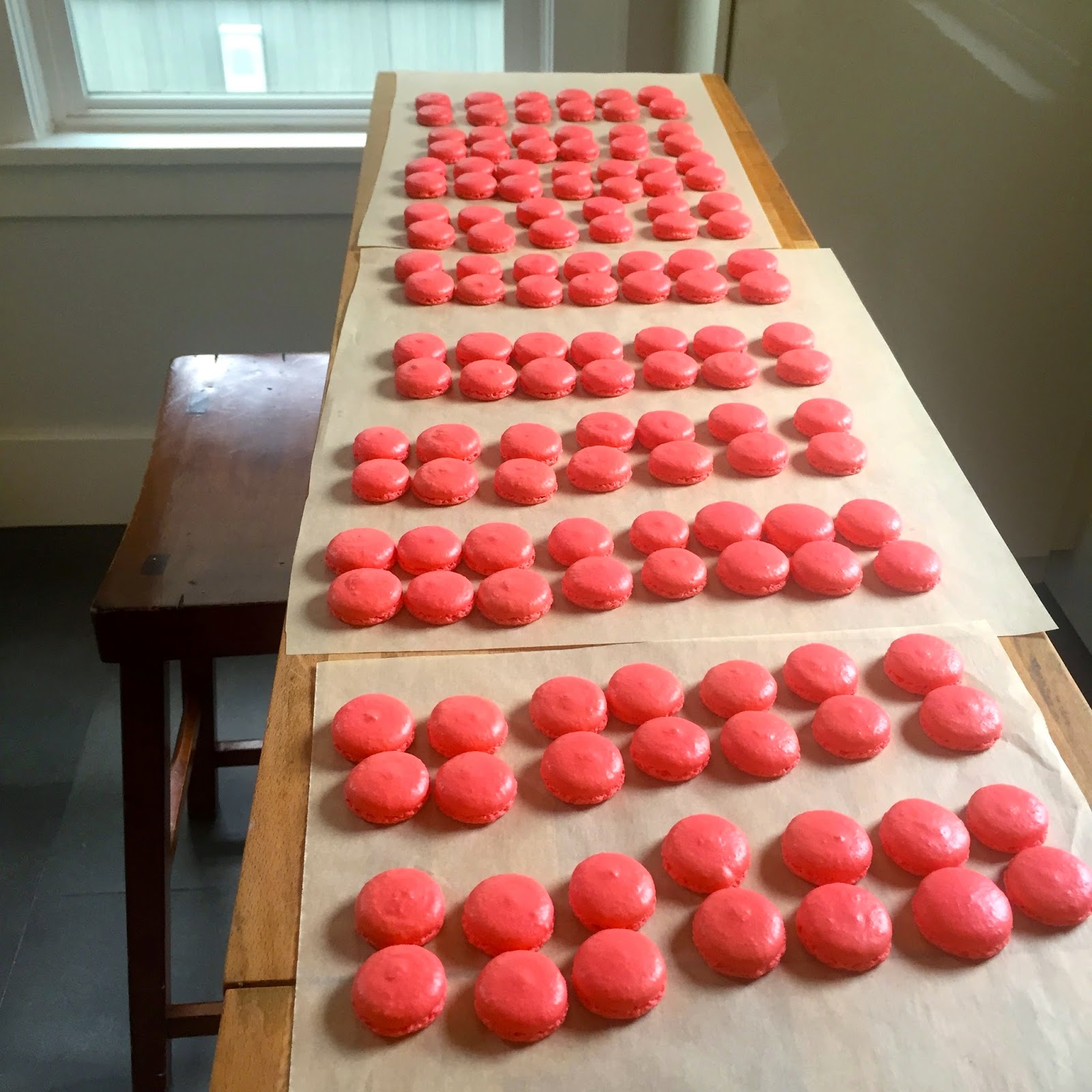 Heidi's Mix Macaron Piping Tips