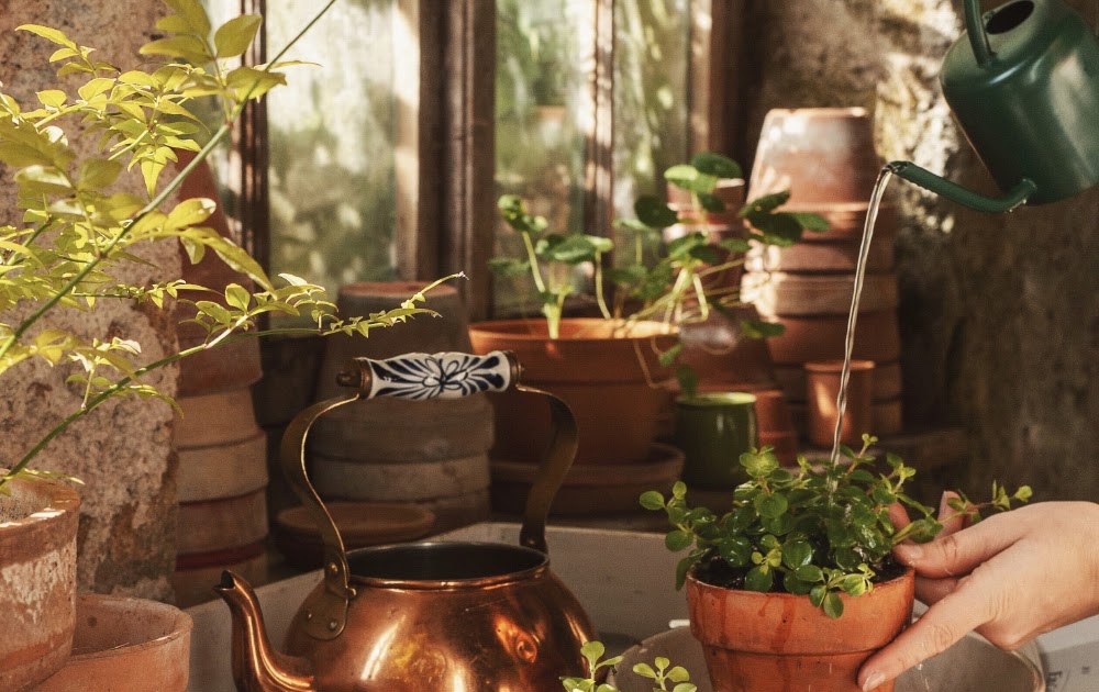 DIY - recycler une bouilloire en cache-pot pour plante verte