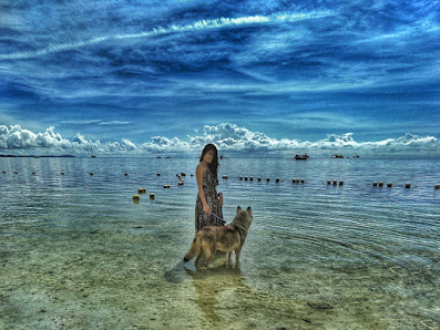 woman and dog wading in water at beach in the Philippines surrounded by blue sky