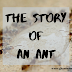 The Story of An Ant