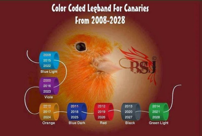 Color de las Anillas desde 2008-2028