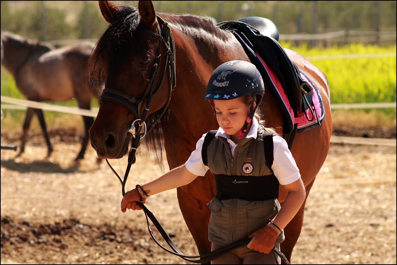 YEGUADA CARMEN MARTINEZ Cursos de Equitación