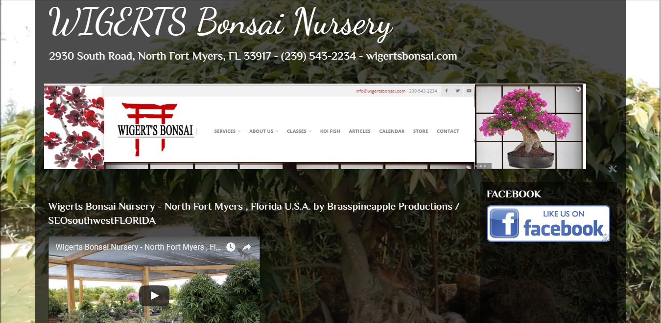 Wigerts Bonsai Nursery