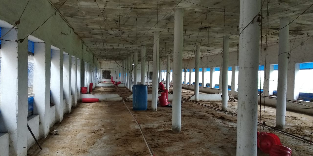 benipal property advisor poultry farm for sale