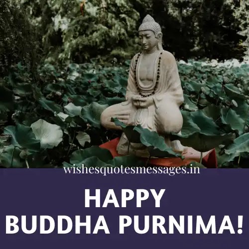 Buddha Purnima Images Download