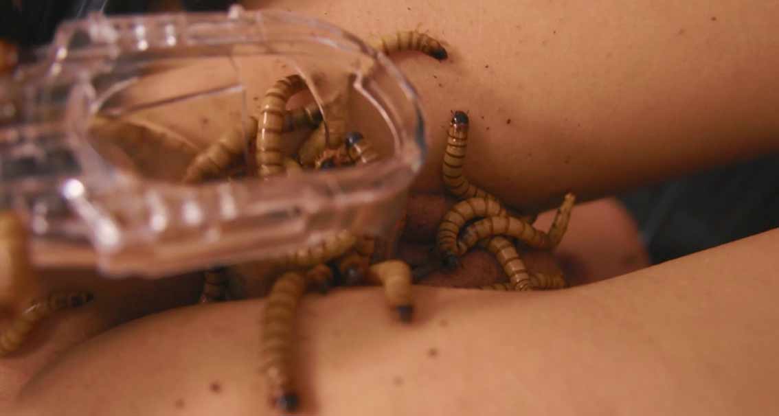 Cockroaches crawling into pussy.