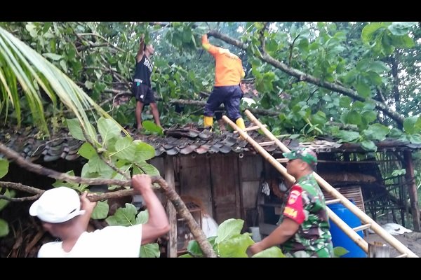 Lisus Terjang Sragen, Atap Puluhan Rumah Rontok