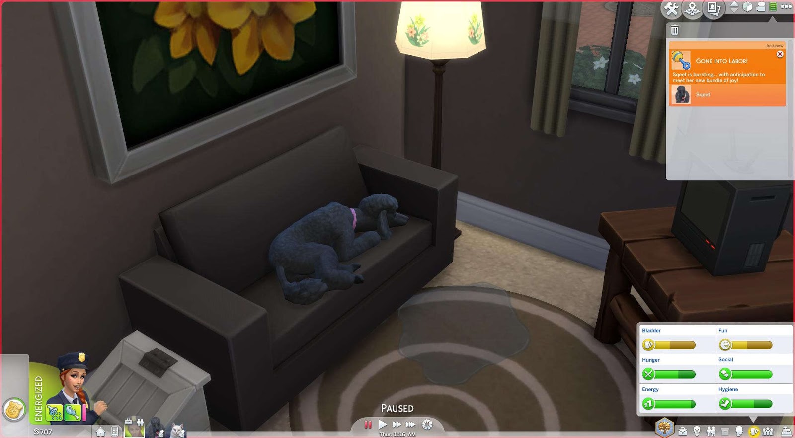 Labor Puddles mod _ New Update SIMS4 Clove share Asia Tổng hợp Custom