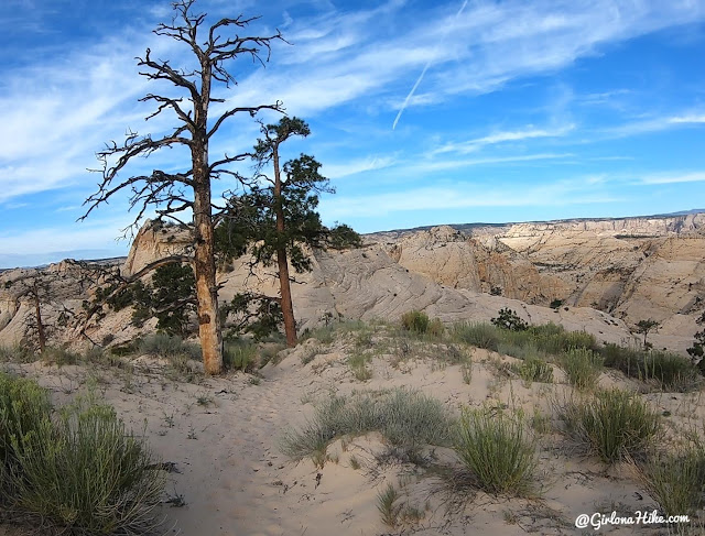 Backpacking Death Hollow, Escalante, Grand Staircase Escalante National Monument Backpacking Death Hollow, Escalante, Grand Staircase Escalante National Monument