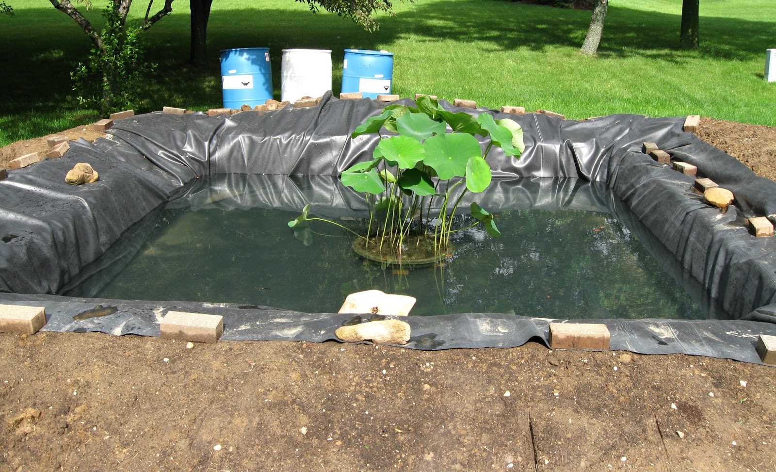 FeltSewGood Pond Progress Finally We Have a Pond!