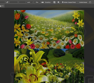 Infopalacess Photoshop 2