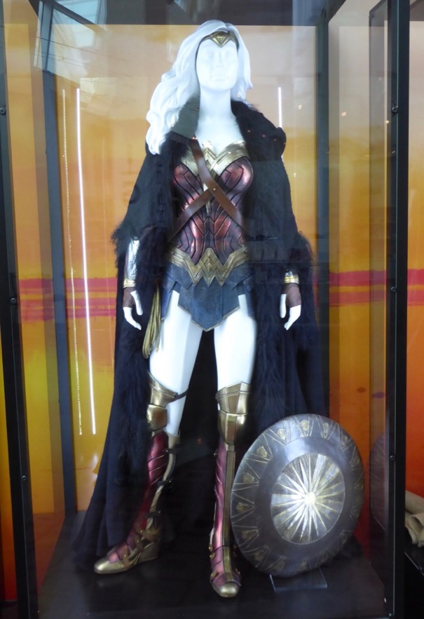 Gal Gadot as Wonder Woman  Wonder woman halloween costume, Wonder woman  costume, Gal gadot wonder woman