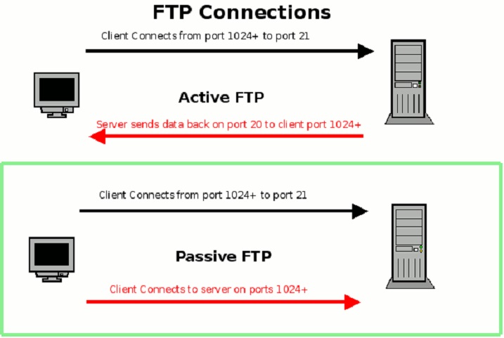 Client port