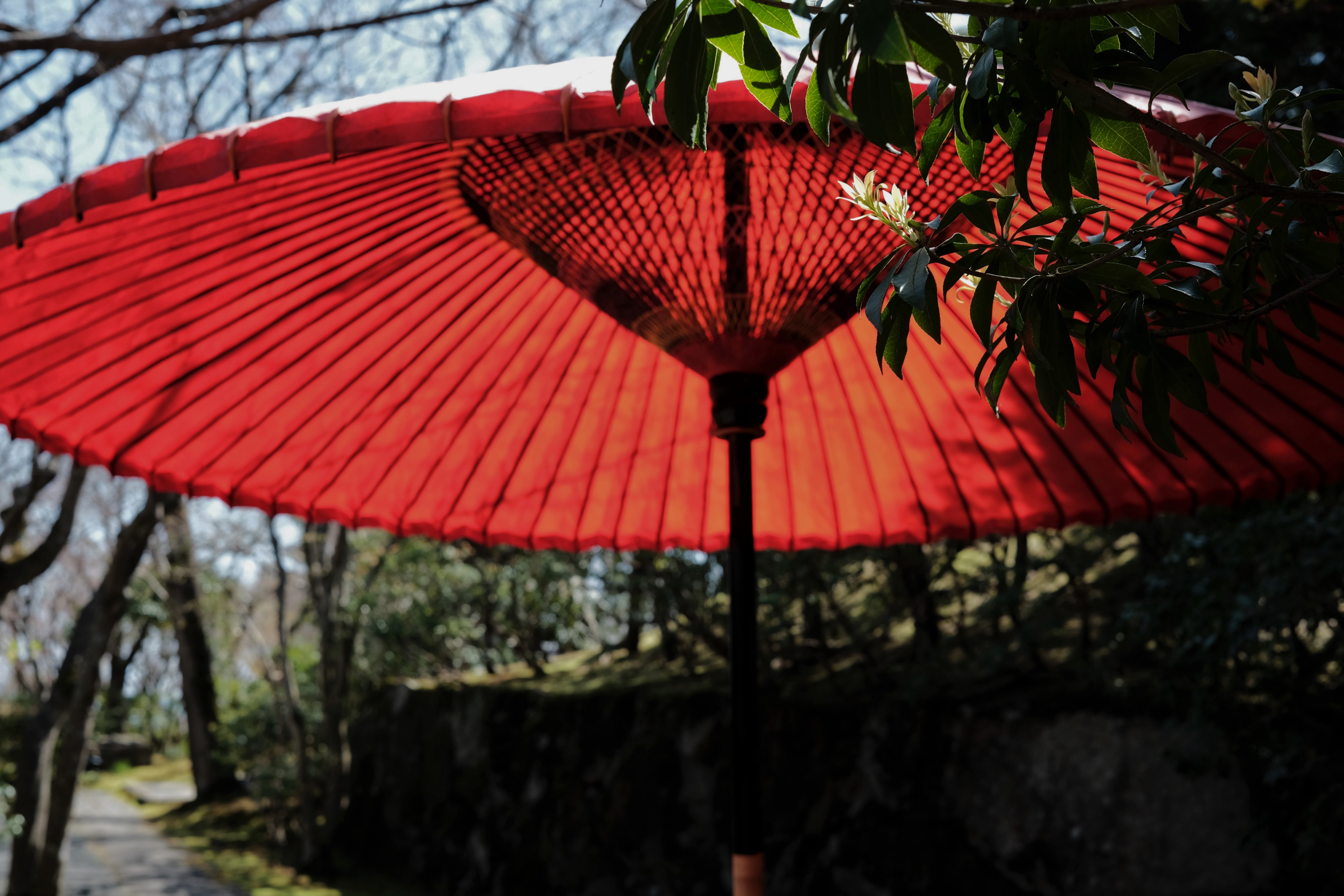 DSCF1681.JPG