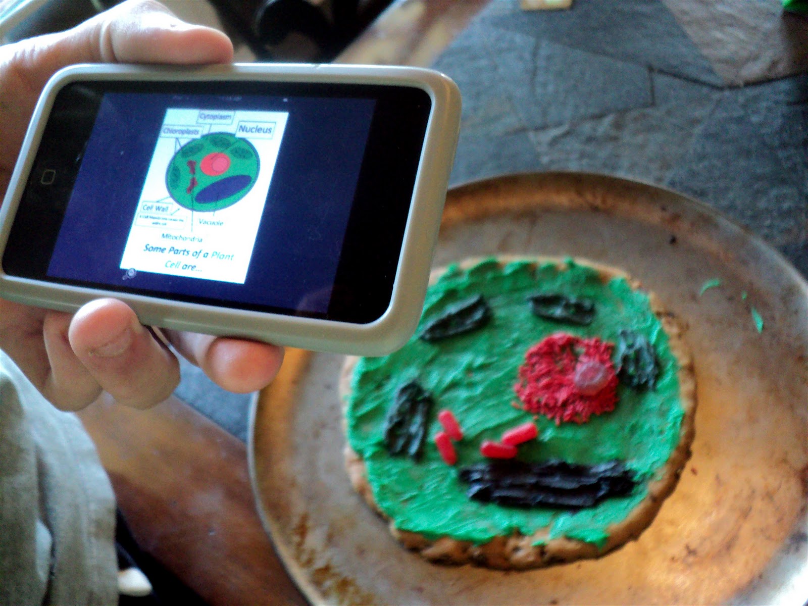 Cells It's What's for Dinner