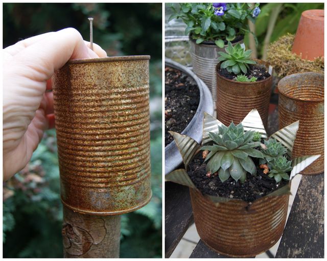 Filz Und Garten Gartenblog Die Kronendose Hat Rost Angesetzt