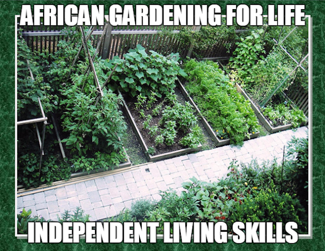  http://supportblackfarmers.blogspot.com/2016/06/african-gardening-for-life-repatriation.html