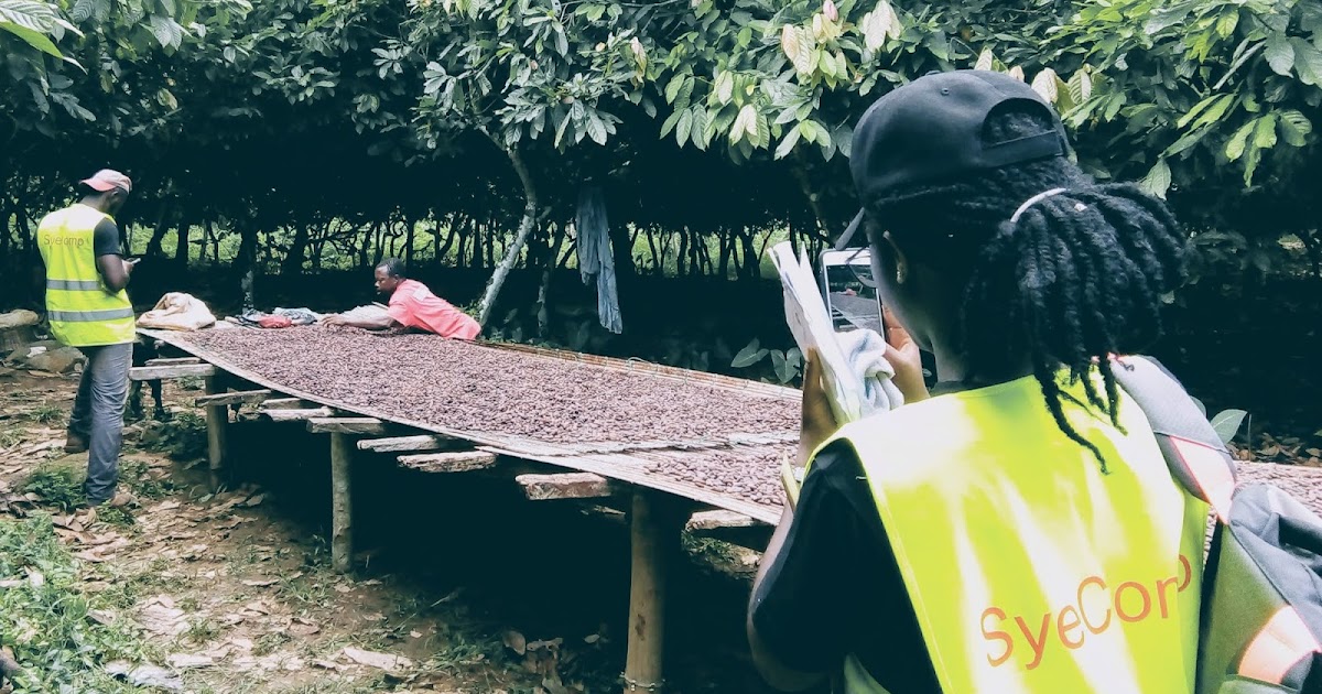 Ghana Cocoa Authorities Deploys Digital Cocoa Management System