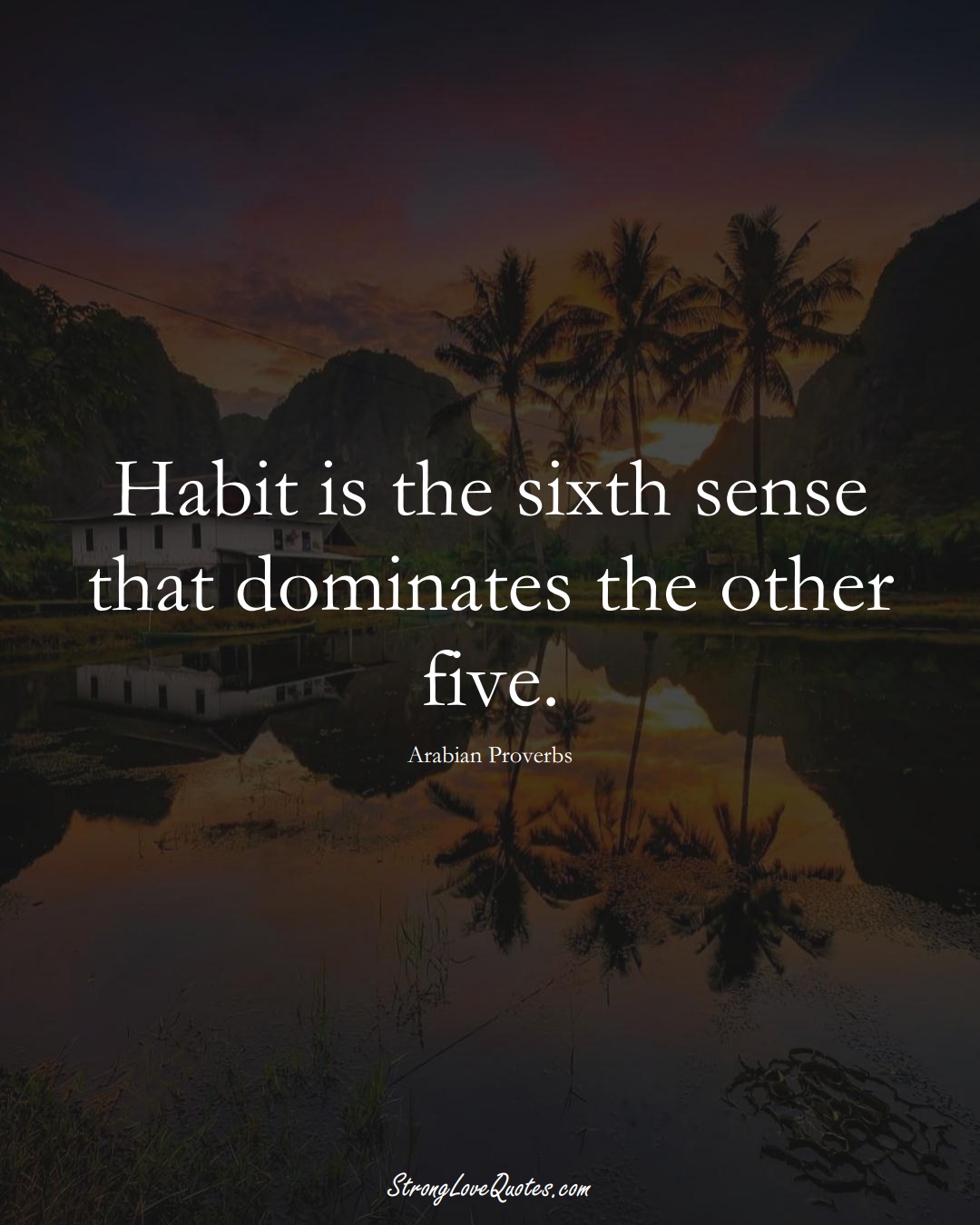 Habit is the sixth sense that dominates the other five. (Arabian Sayings);  #aVarietyofCulturesSayings