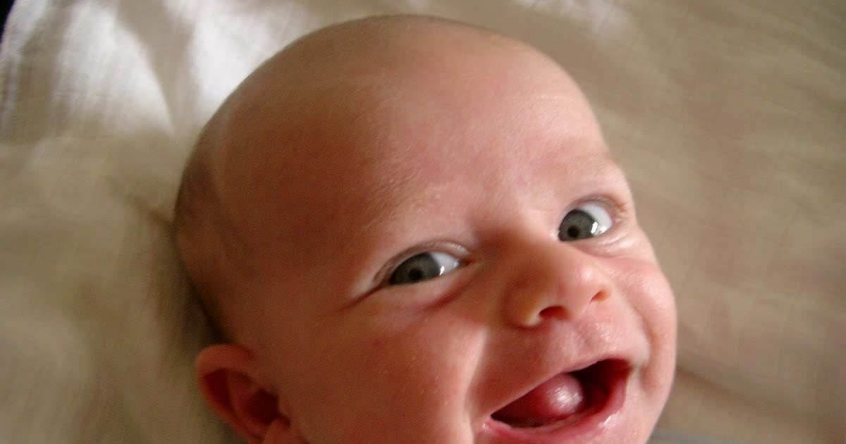 Língua à Portuguesa Bem disposto ou bemdisposto?