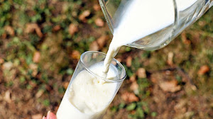 Why Humans have Evolved to Drink Milk Why Humans have Evolved to Drink Milk