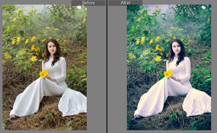 photo editing preset photo editing preset