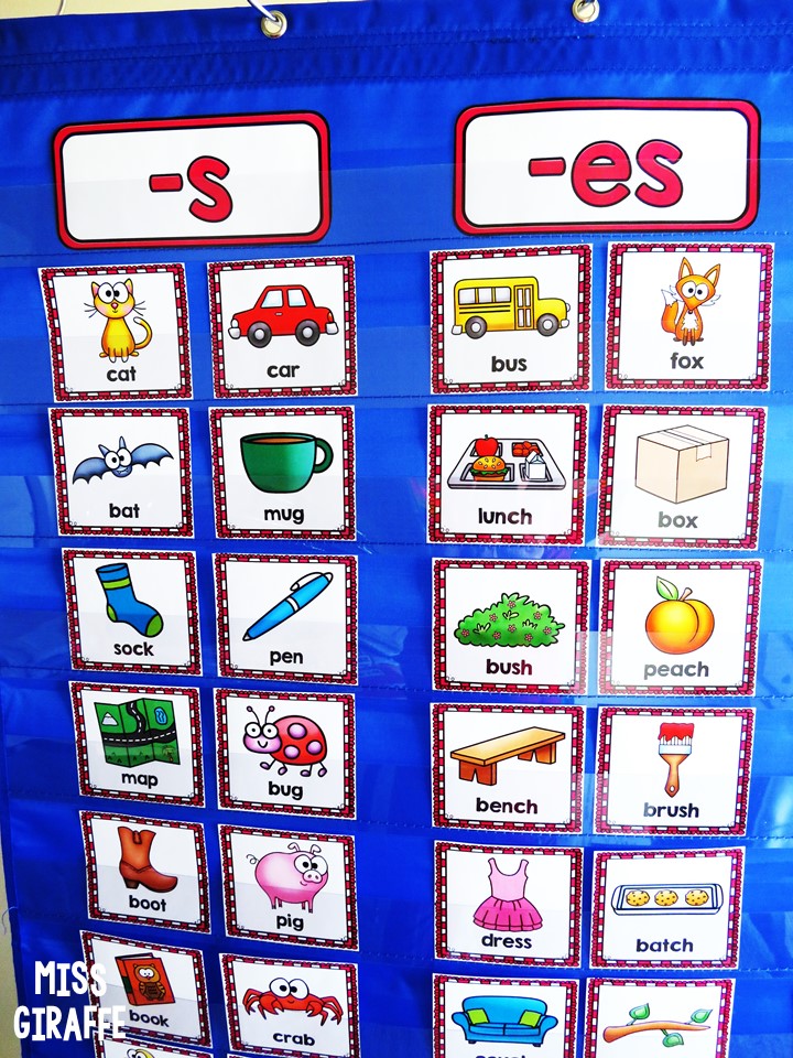 PIS BARODA STD4 Grade 4 (A, B, C, D) English (GRAMMAR) 11th JUNE