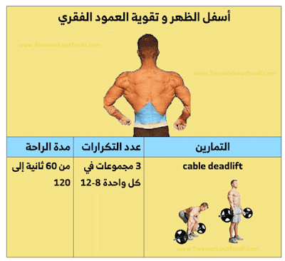 تمارين عضلات الظهر