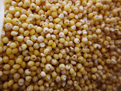 breakfast millet cooker pressure creamy lime coconut pudding recipes xl power