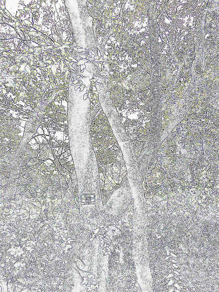 공주 계룡산 갑사