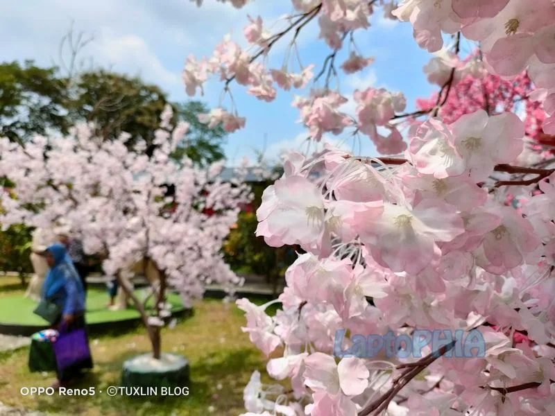 Hasil Foto Kamera Oppo Reno 5