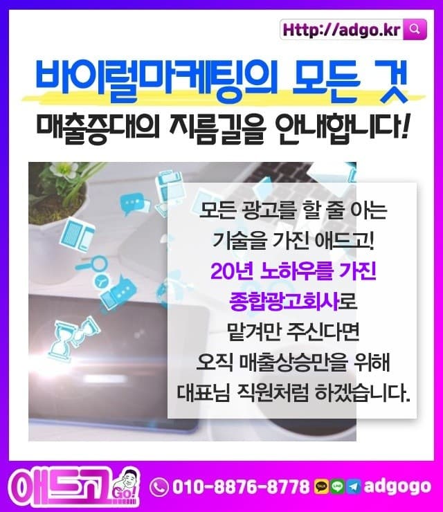 부산아기말티즈분양