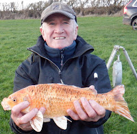 todber manor tackle shop