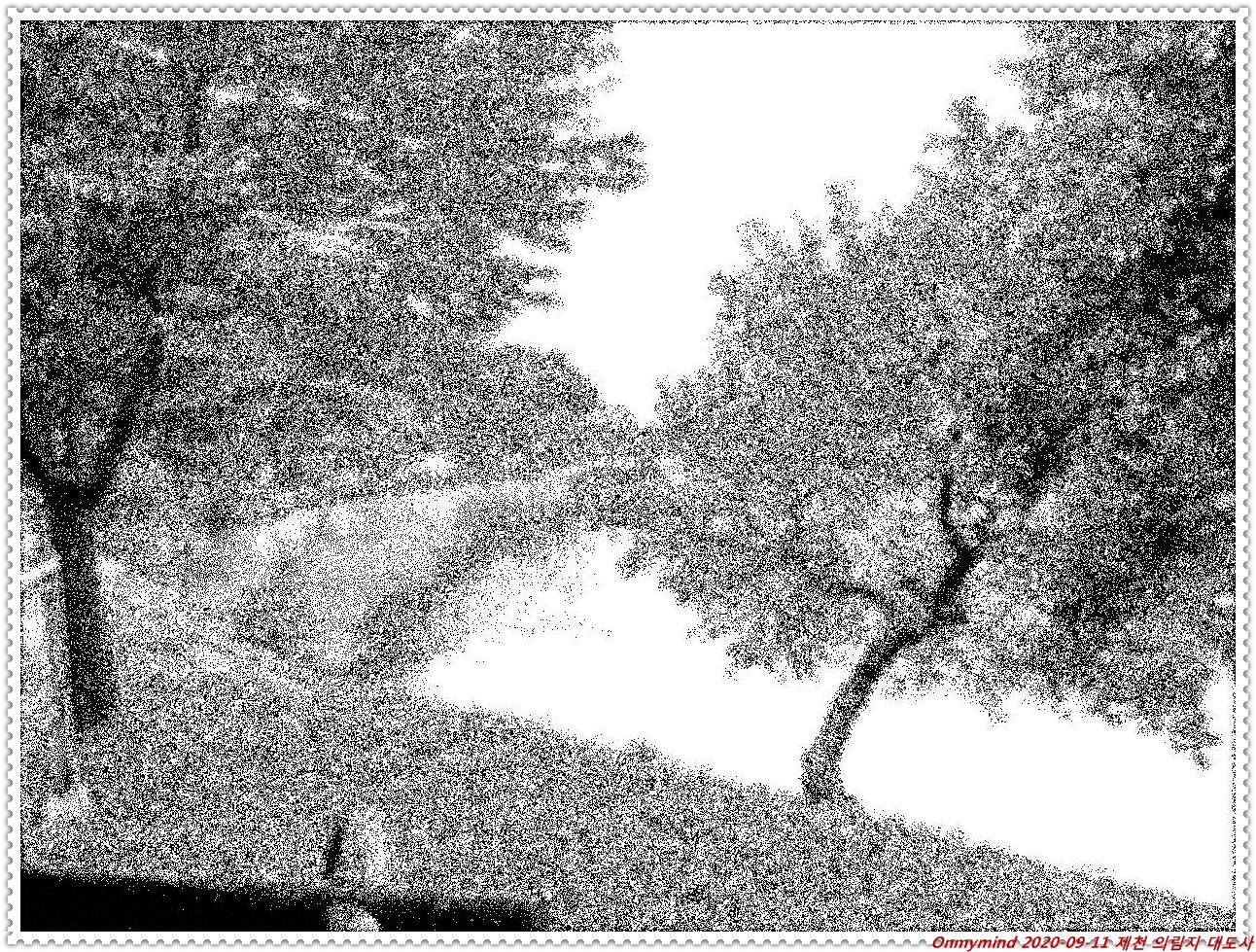 제천 의림지 대도사