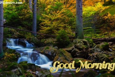 These Best 99+ Good Morning Images will make your day These Best 99+ Good Morning Images will make your day