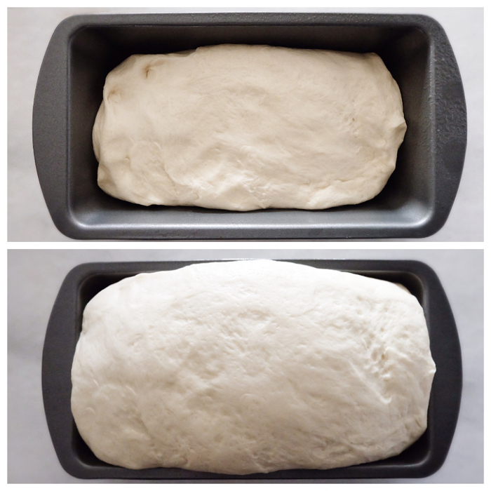 Buttermilk Bread | The Bake Dept