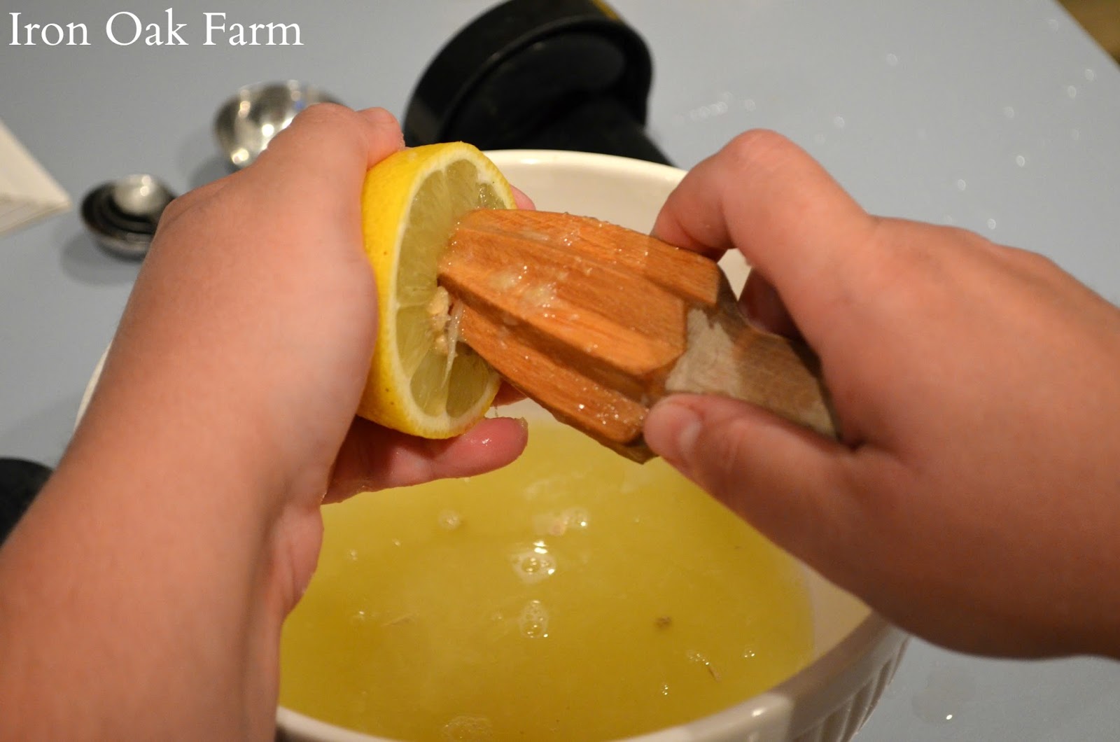 Iron Oak Farm Strawberry Lemonade Concentrate