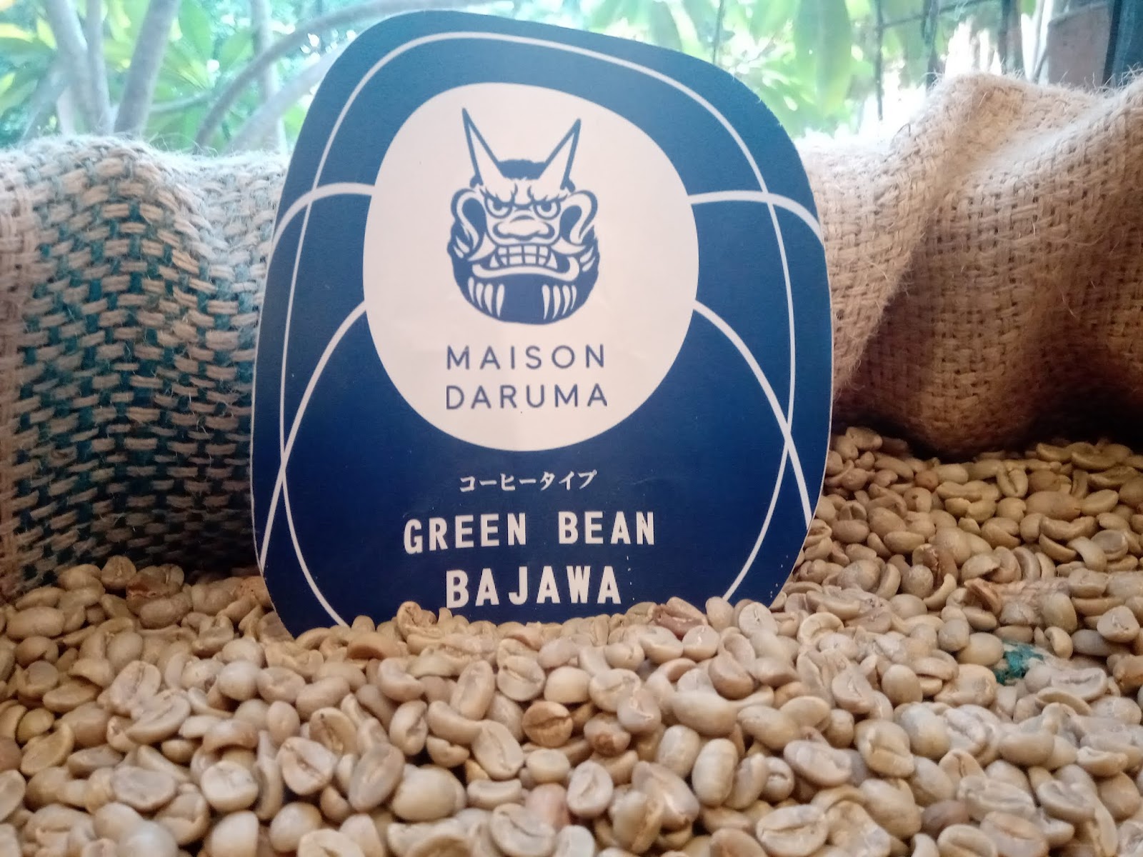 Maison Daruma Coffee And Roastery Roastery Bernuansa Jepang Di Jogja