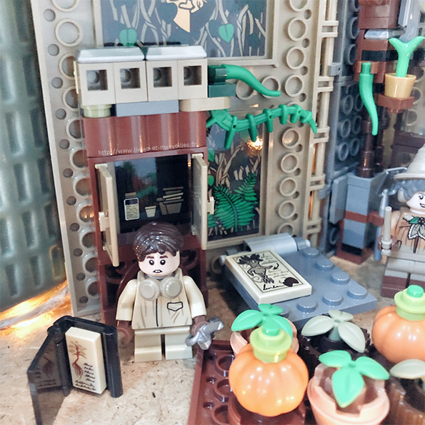 LEGO® Harry Potter™ - 76384 Poudlard - Le cours de botanique