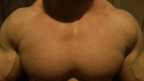Lower pecs Machine