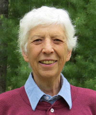 Joan H. Young author