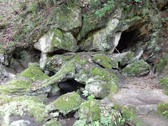 �ΎR���������